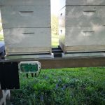 Bienenstockwaage und Bienenstock